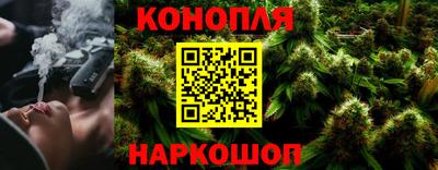 прущие грибы Заводоуковск