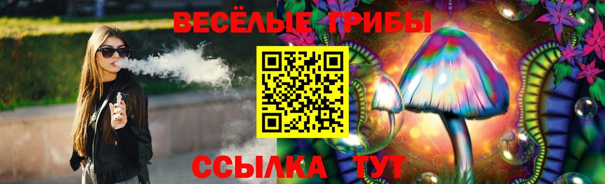 Псилоцибиновые грибы Psilocybe  Вход с VPN  Мирный 